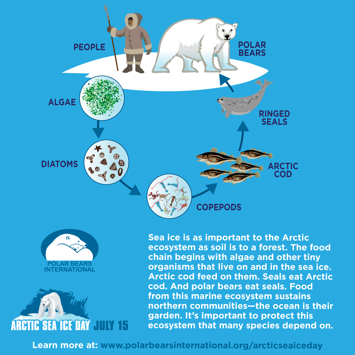 PBI-ArticSeaIceDay-July15-IceFact-A