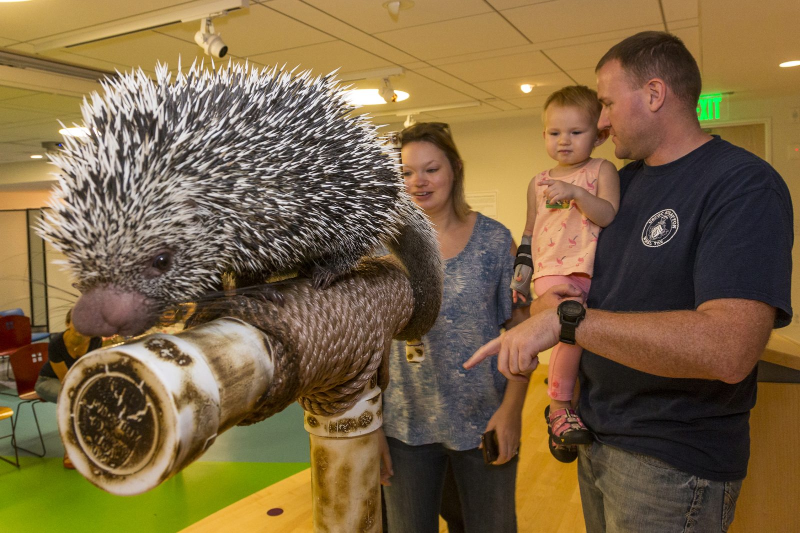 Zoos Bring Animal Kingdom to Patients at Boston Children’s Hospital