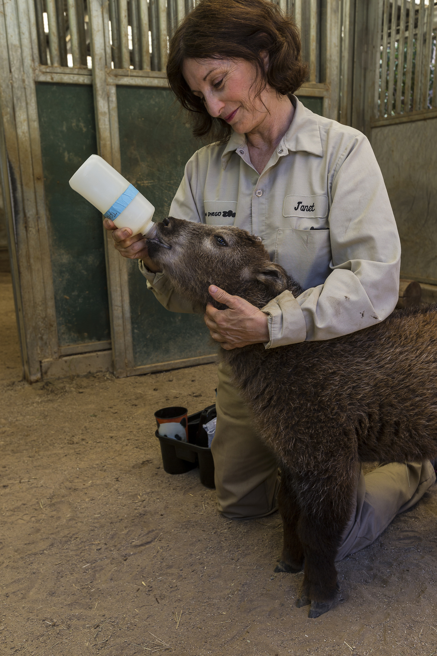 Baby Takin Bottle Feeding