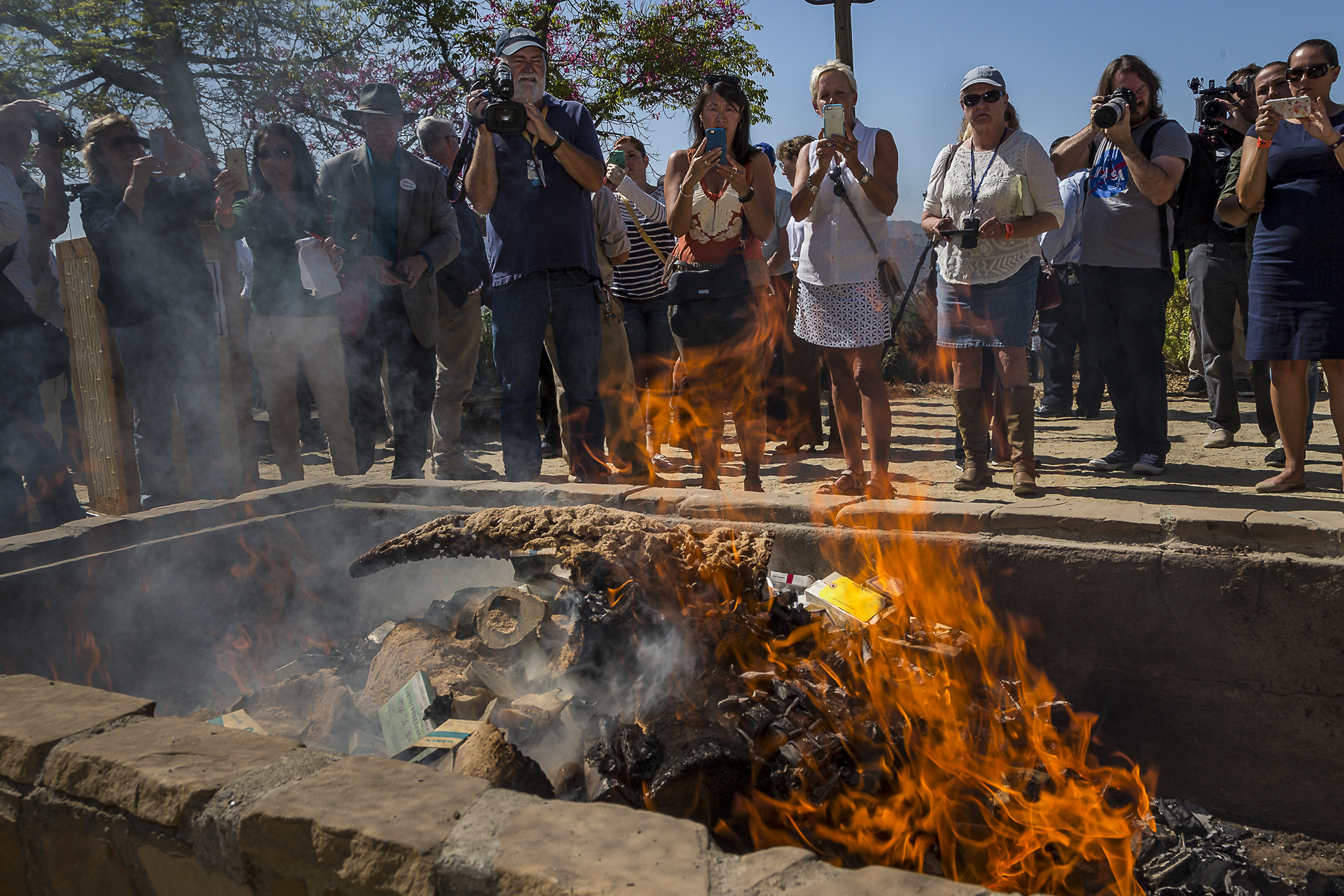 U.S. Rhino Horn Destruction Sends Global Message: Stop the Illegal Trade or Risk Losing the Rhino Forever