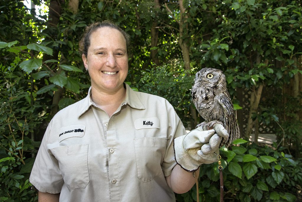 THE “EYES” HAVE IT “Who” knows what a charismatic bird Ojos the western screech owl is? Kelly Lee, a senior keeper in the Children’s Zoo senior keeper, for one!