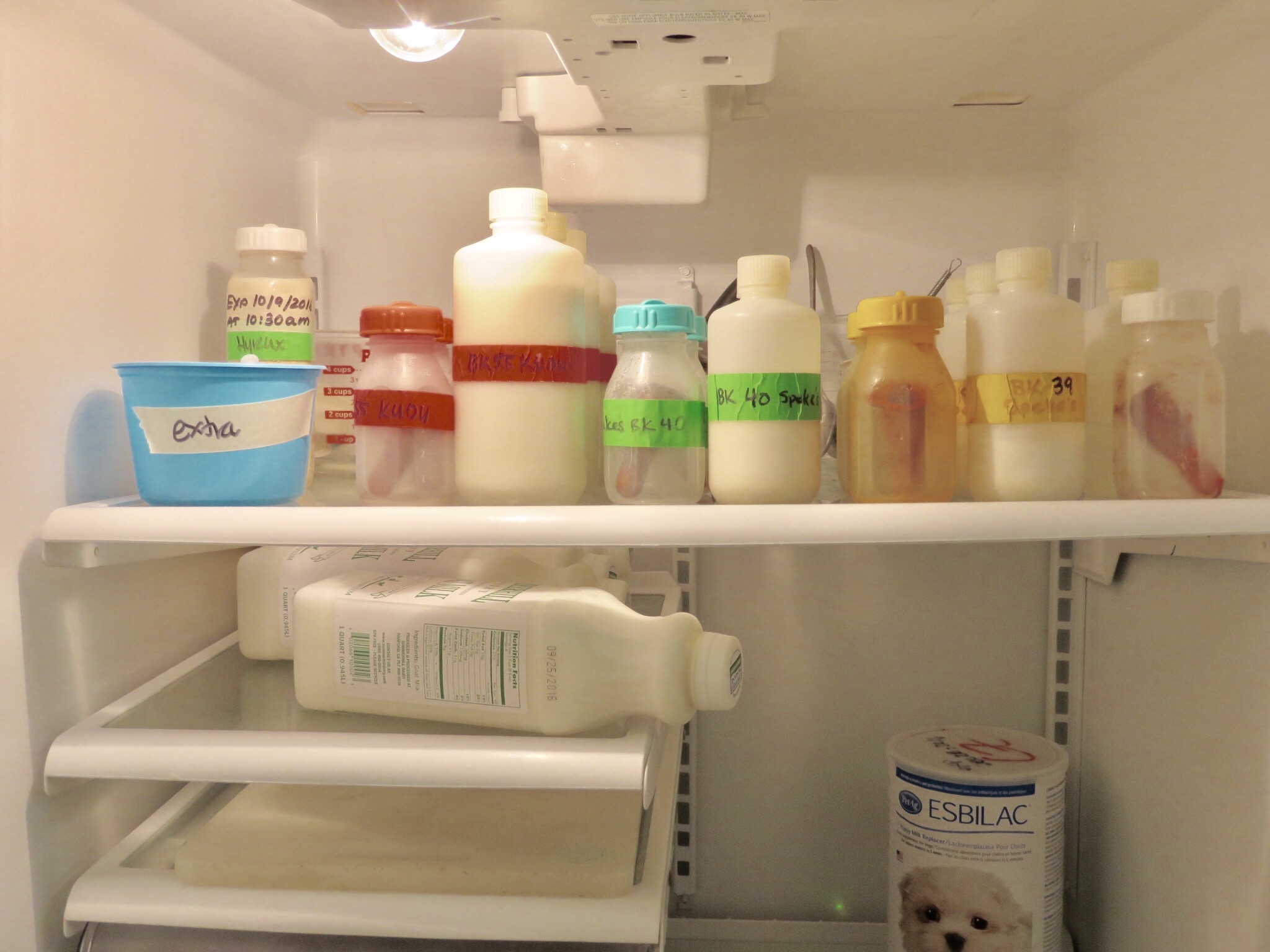 The Nutritionists at the San Diego Zoo help create the baby animal formulas based on the species, calories needed, as well as the mother’s natural milk. Taking a peek into the fridge, I spotted the meals already prepared for the various animal patients!