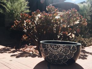 Once your garden begins to grow, place a shallow dish of water out for butterflies to drink from. They need water too! In months, you’ll have a growing garden full of potential and, hopefully, new butterfly inhabitants!