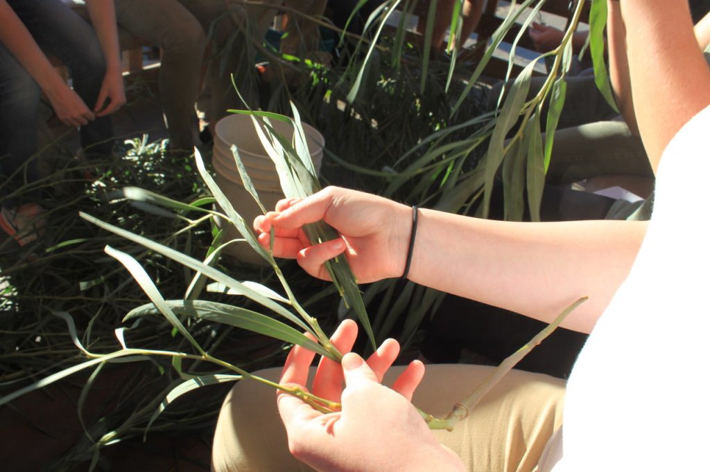 To start off the safari, everyone was handed an acacia branch and asked to strip the leaves off. This was so that later the leaves would be readily available for feeding the giraffes.