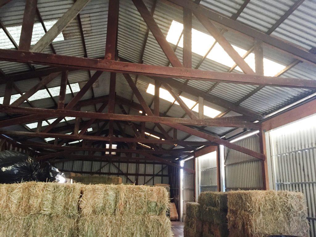 Next up: the hay barn! The interns piled into a large warehouse where the hay is kept for the animals. When it comes to nutrition, the Zoo needs a lot of hay! Some of the animals that eat hay at the Zoo include elephants, giraffes, hoofstock, hippos, rhinos, tapers and zebras. The varieties of hay kept in the barn include alfalfa, Sudan, and Bermuda.