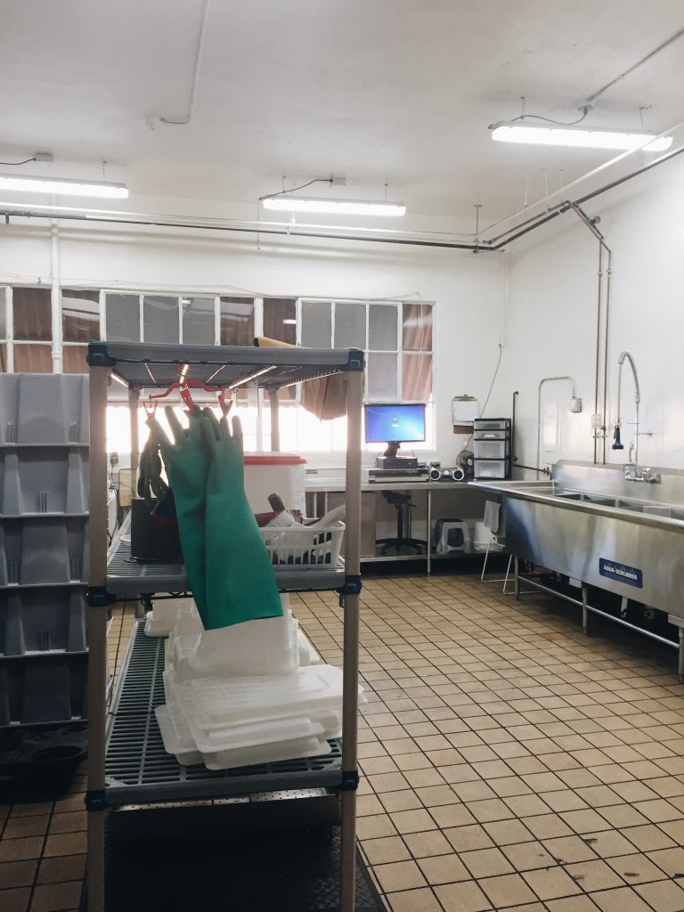 This room is where a lot of the food preparation happens! Nutritionists often have to arrive very early in the morning to prepare the food, which is then distributed to all different areas of the Zoo. The food is transported throughout the Zoo on trucks, all ready for the zookeepers to feed to the animals.