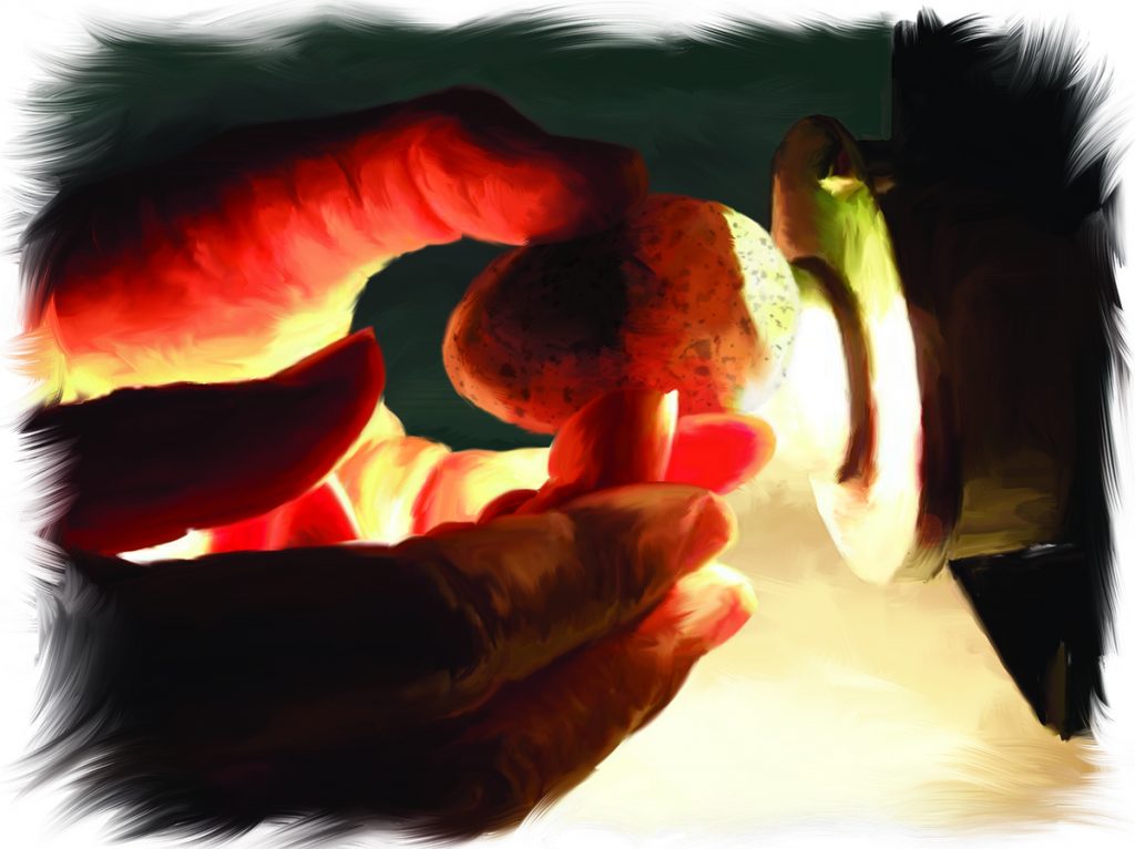 CANDLELIGHT Candling alala eggs regularly allows researchers to monitor the development of the embryos.