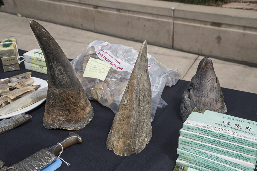 HEADER HERE Unbeknownst to many, the US is one of the largest consumers of smuggled wildlife and wildlife products, including rhino horn. Rhino horn is made of keratin, the same material as our hair and fingernails. 