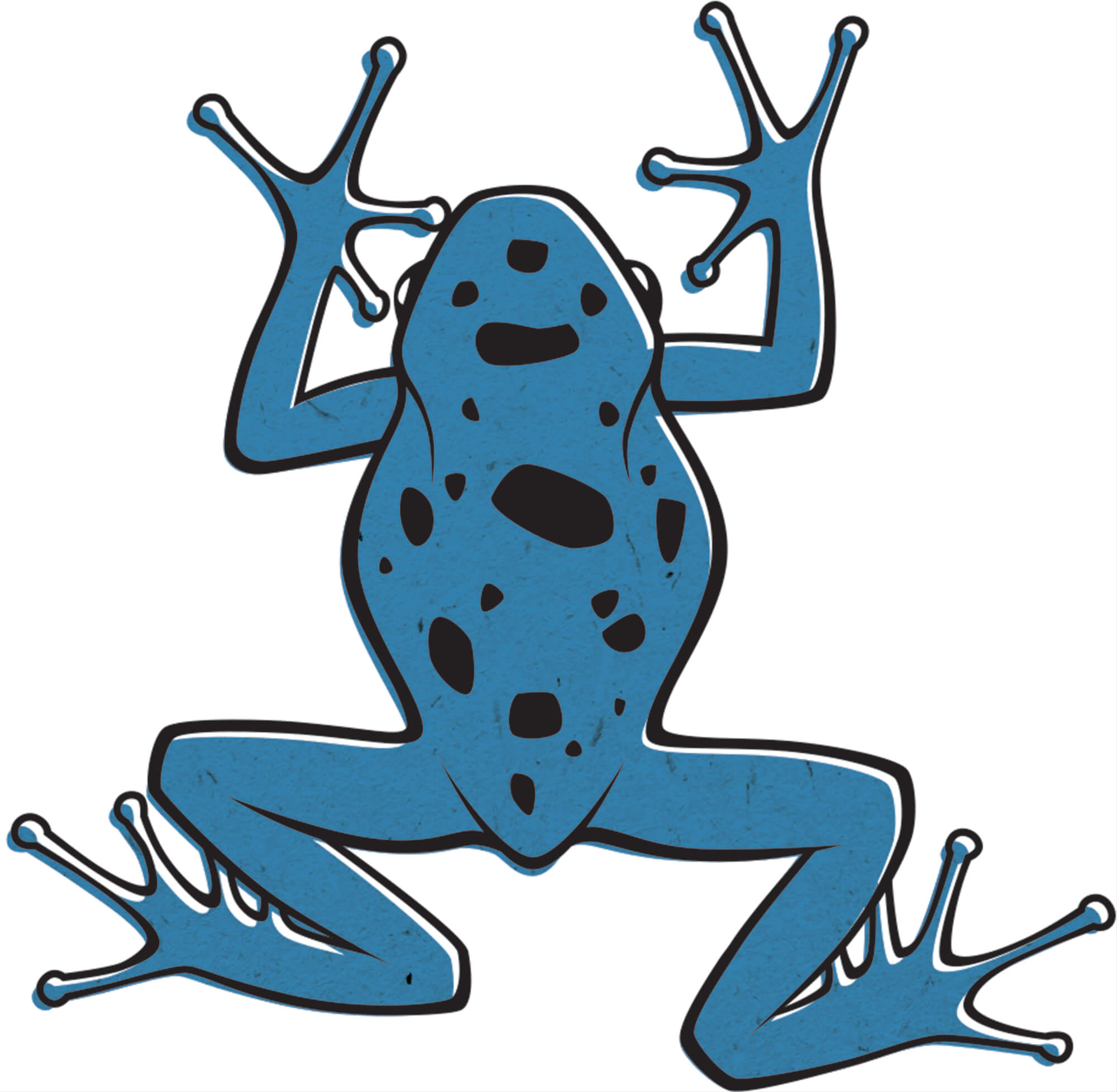 adult frog clipart