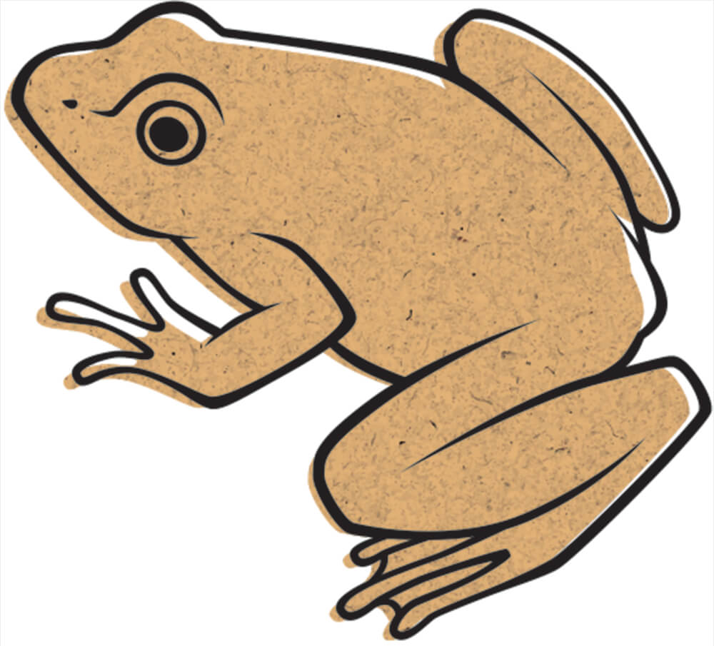 Brown Frog Clipart 0040